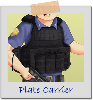 Crooked Cop Protective Equipment - Plate Carrier Vest